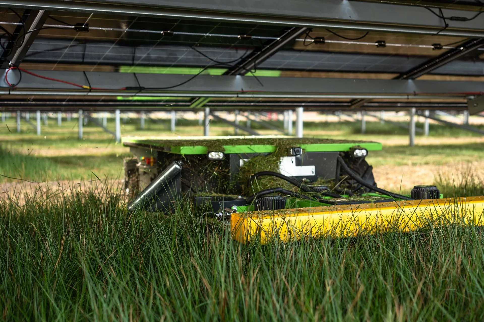 Rasenschnitt im Solarpark