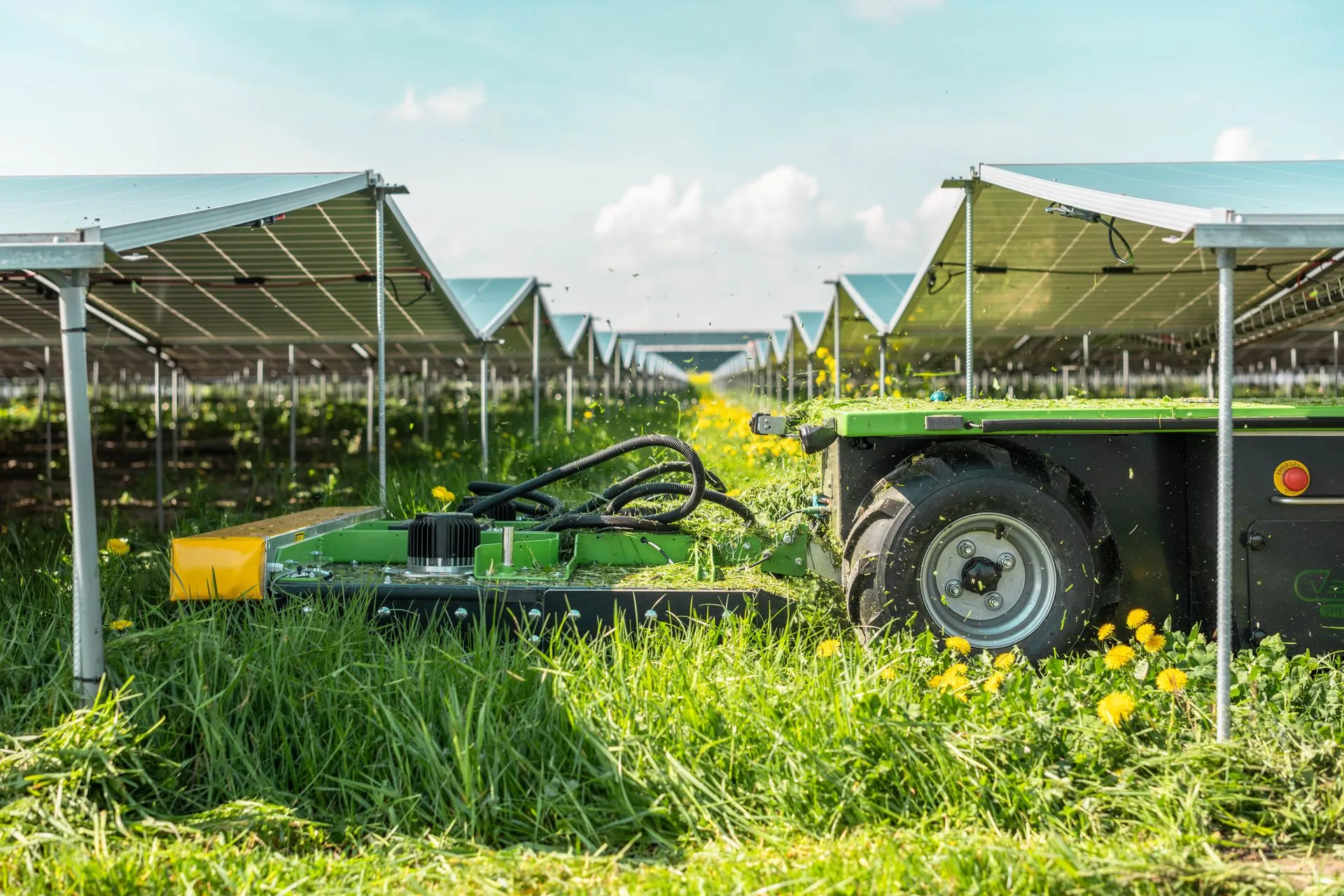 Rasenschnitt im Solarpark