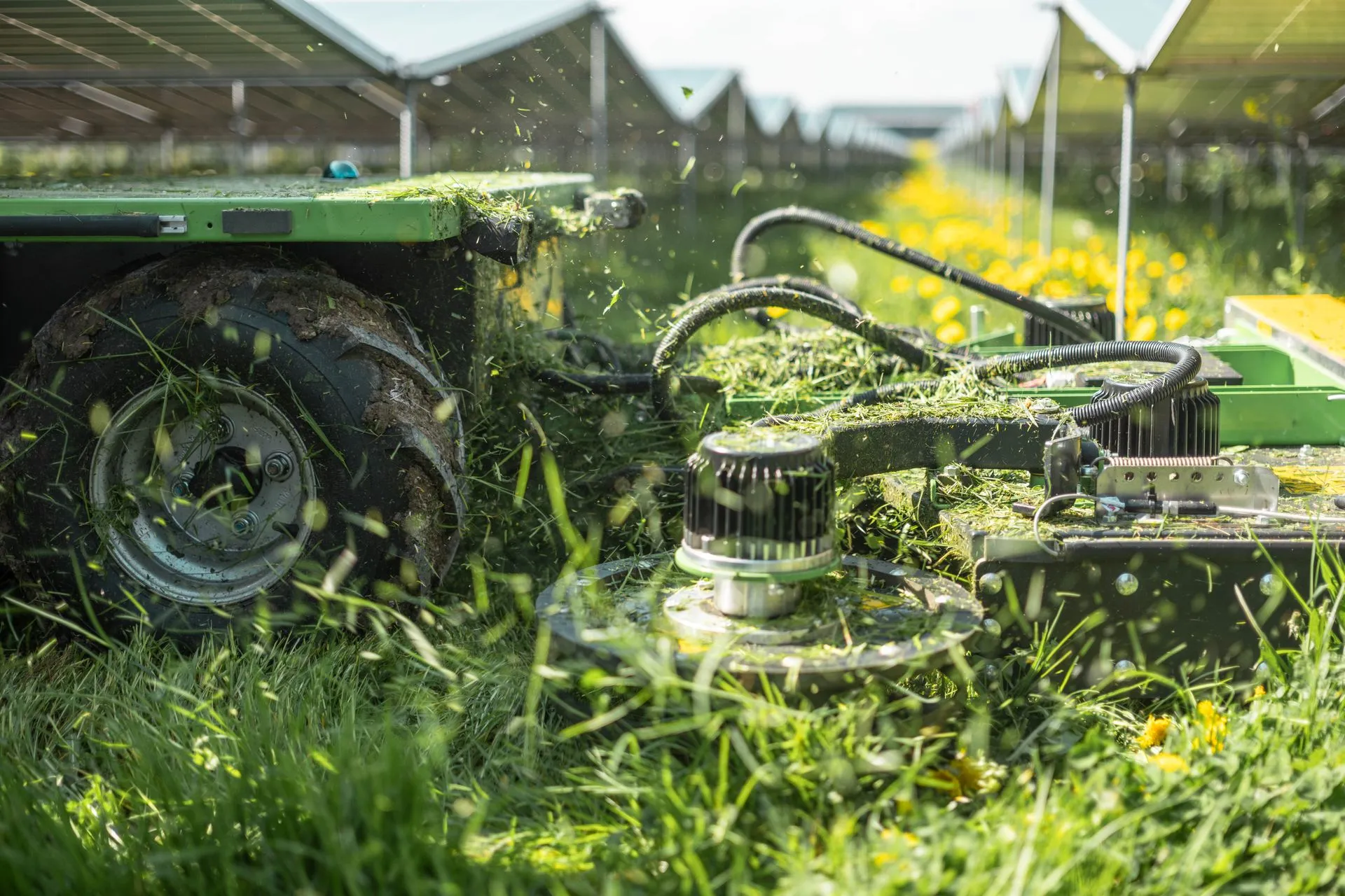 Rasenschnitt im Solarpark